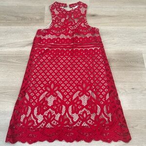 Red Lace Mini Dress